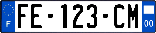 FE-123-CM