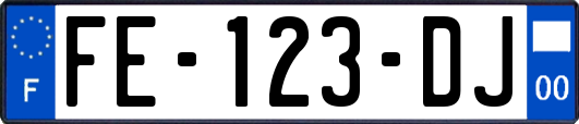 FE-123-DJ