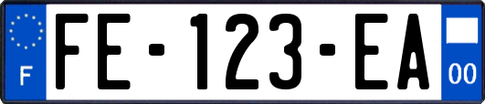 FE-123-EA