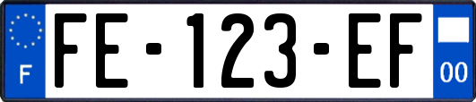 FE-123-EF