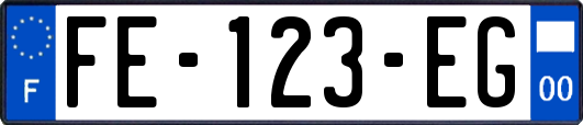 FE-123-EG