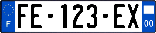 FE-123-EX