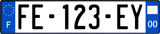 FE-123-EY