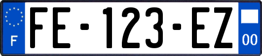 FE-123-EZ