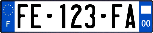 FE-123-FA