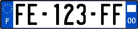 FE-123-FF