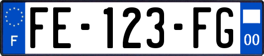 FE-123-FG