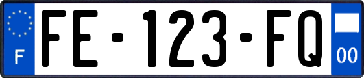 FE-123-FQ