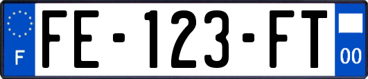 FE-123-FT