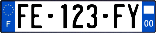 FE-123-FY