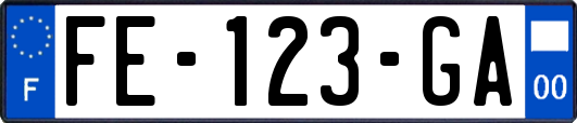 FE-123-GA
