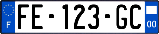 FE-123-GC