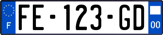 FE-123-GD