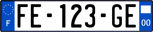 FE-123-GE