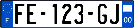 FE-123-GJ