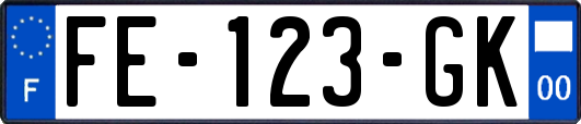 FE-123-GK