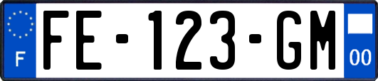 FE-123-GM