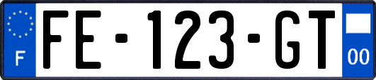 FE-123-GT