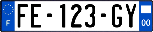 FE-123-GY