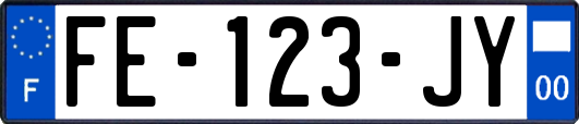 FE-123-JY