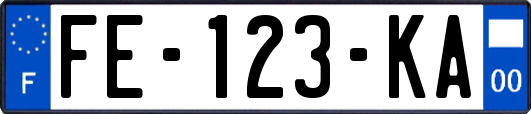 FE-123-KA