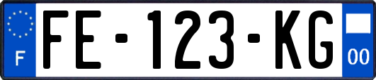FE-123-KG