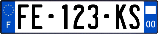 FE-123-KS