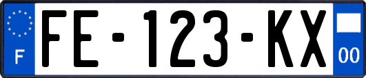 FE-123-KX