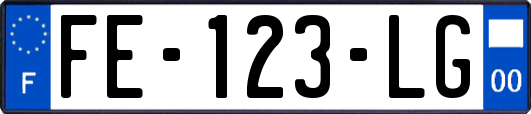 FE-123-LG