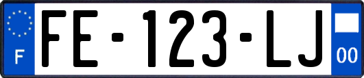 FE-123-LJ
