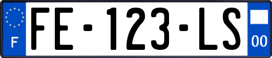 FE-123-LS