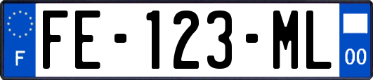 FE-123-ML