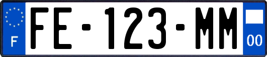FE-123-MM