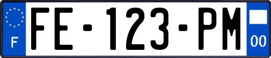FE-123-PM