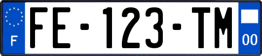FE-123-TM