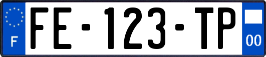 FE-123-TP