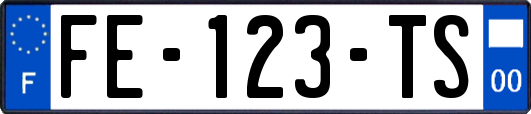 FE-123-TS