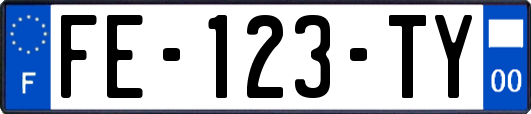 FE-123-TY