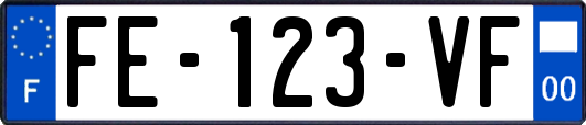FE-123-VF
