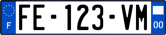 FE-123-VM
