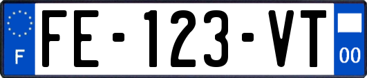 FE-123-VT