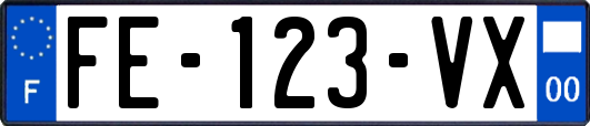 FE-123-VX