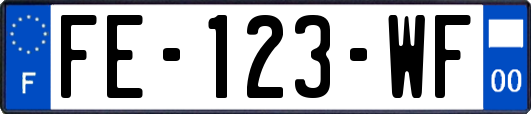 FE-123-WF