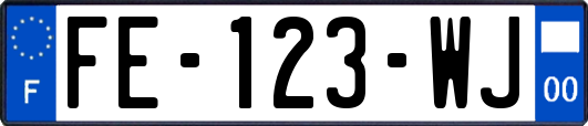 FE-123-WJ