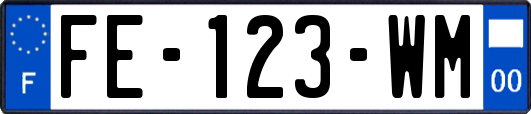 FE-123-WM