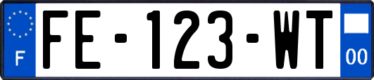 FE-123-WT
