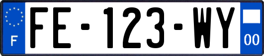 FE-123-WY