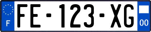 FE-123-XG