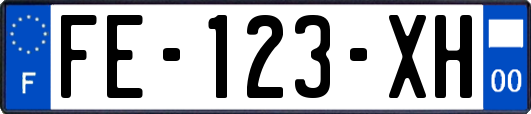 FE-123-XH