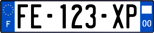 FE-123-XP